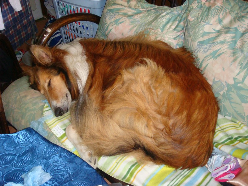 DSC00513.JPG
