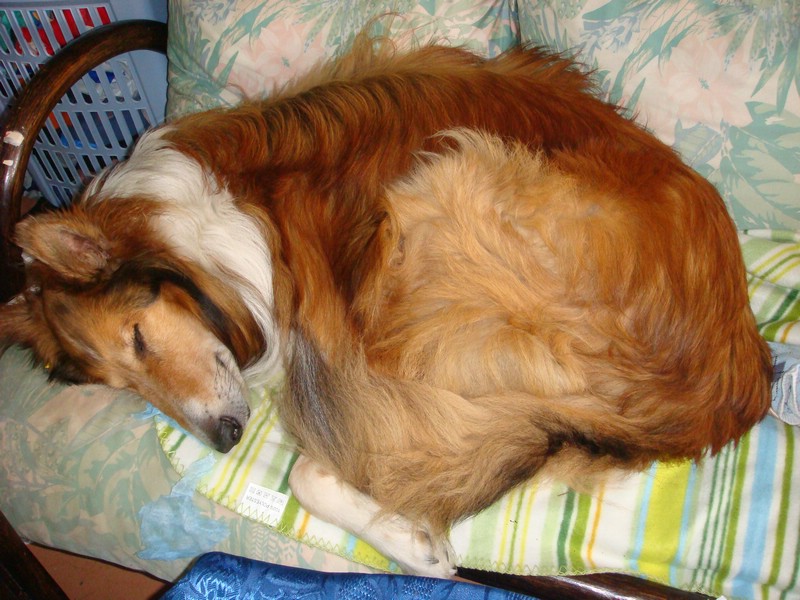 DSC00514.JPG