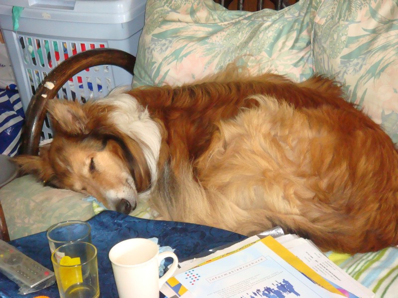 DSC00515.JPG