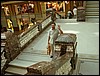 DSC00460.JPG