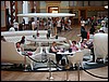 DSC00462.JPG