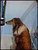 DSC00464.JPG