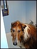 DSC00467.JPG