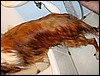 DSC00468.JPG
