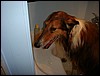 DSC00470.JPG