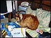 DSC00512.JPG