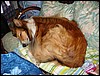 DSC00513.JPG