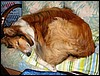 DSC00514.JPG