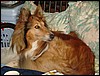 DSC00516.JPG