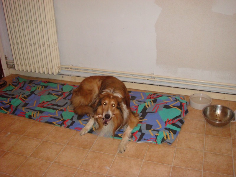 DSC00632.JPG