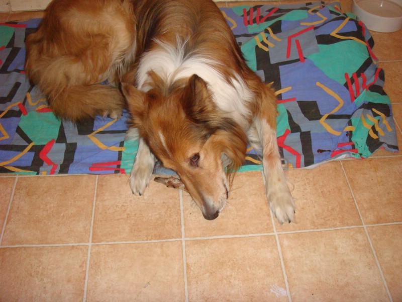 DSC00633.JPG