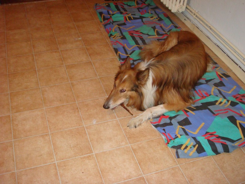 DSC00640.JPG