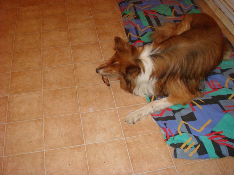 DSC00643.JPG