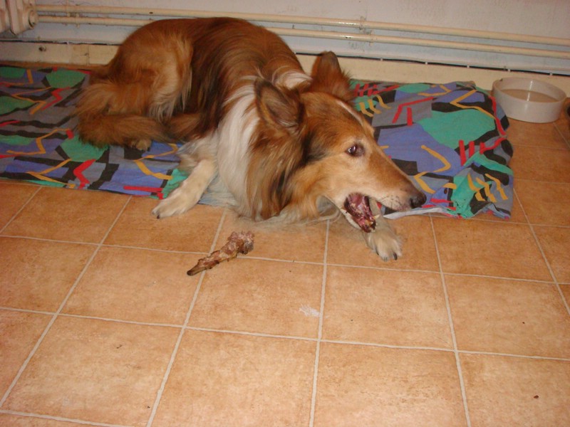 DSC00646.JPG