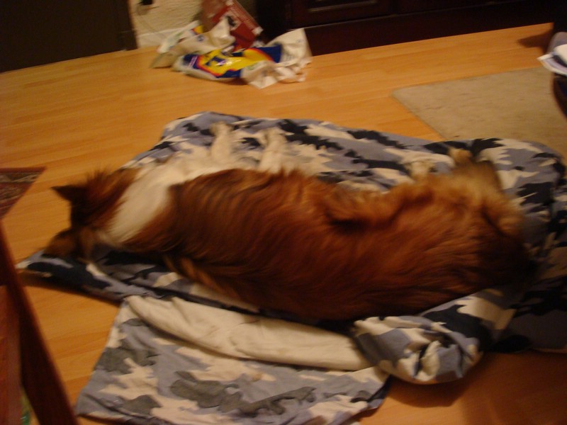 DSC00694.JPG