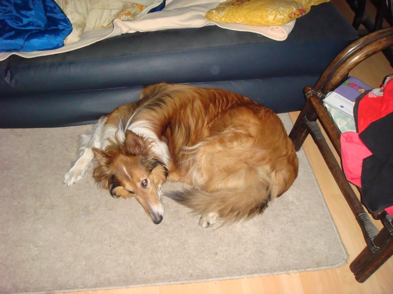 DSC00735.JPG