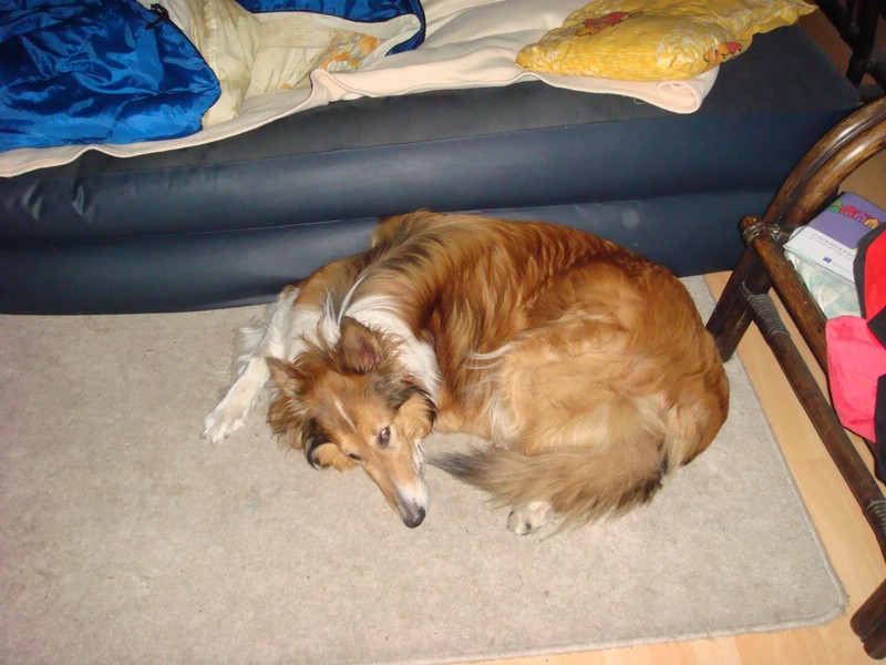 DSC00736.JPG