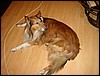 DSC00571.JPG