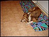 DSC00640.JPG