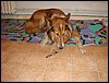 DSC00644.JPG