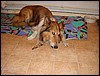 DSC00647.JPG