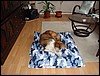 DSC00675.JPG