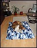 DSC00676.JPG