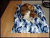 DSC00677.JPG