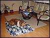 DSC00678.JPG