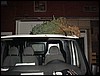 DSC00682.JPG