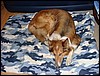 DSC00686.JPG