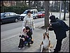 DSC00691.JPG