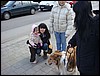DSC00692.JPG