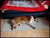DSC00713.JPG