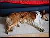 DSC00714.JPG