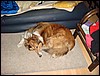 DSC00735.JPG