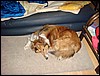 DSC00736.JPG