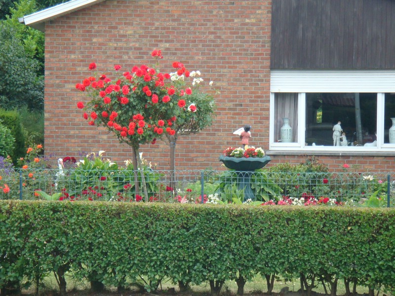 DSC00523.JPG