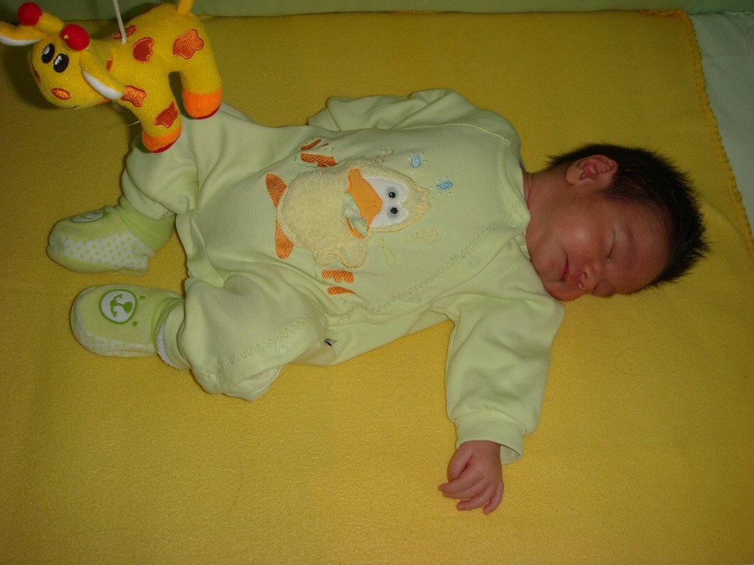 DSC00936.JPG