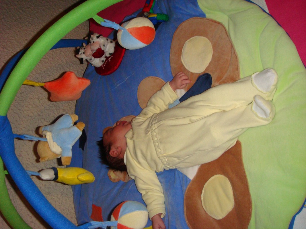 DSC00944.JPG