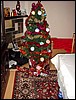 DSC00961.JPG