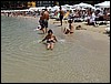 DSC00431.JPG