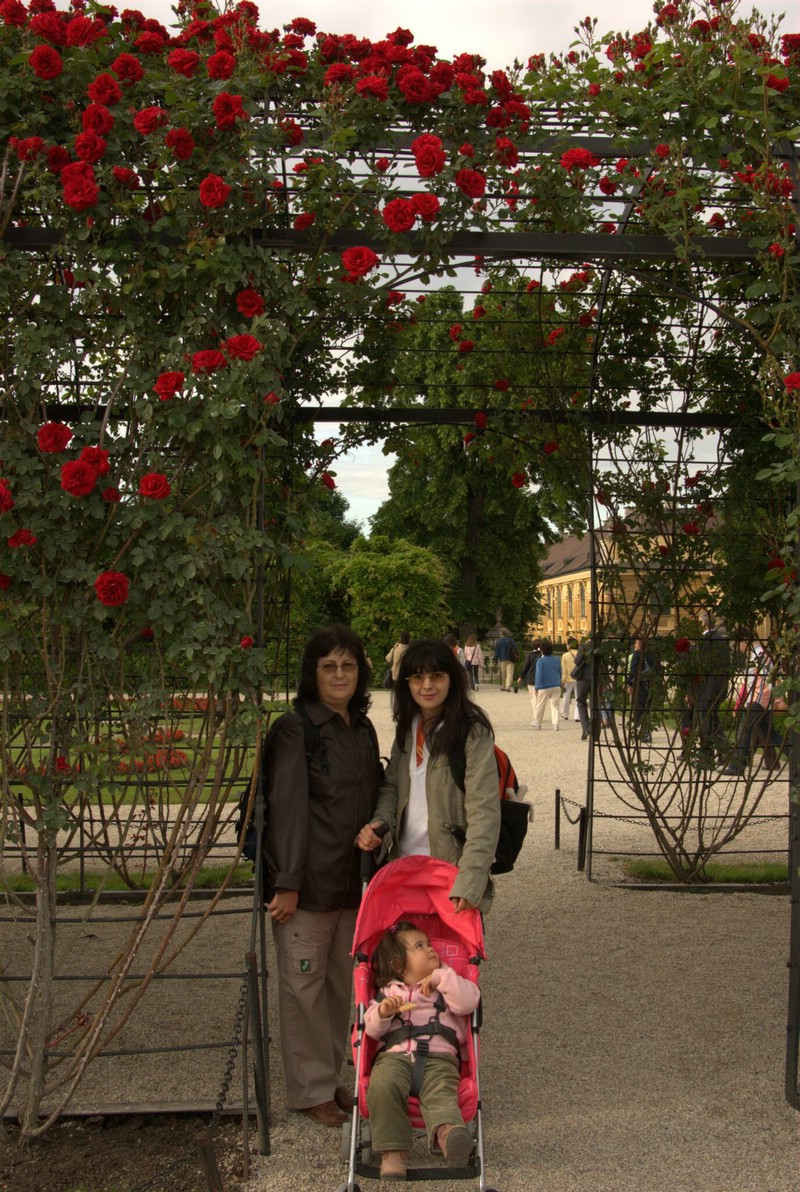 _IGP9712.jpg