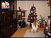 DSC00622.JPG