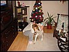 DSC00628.JPG