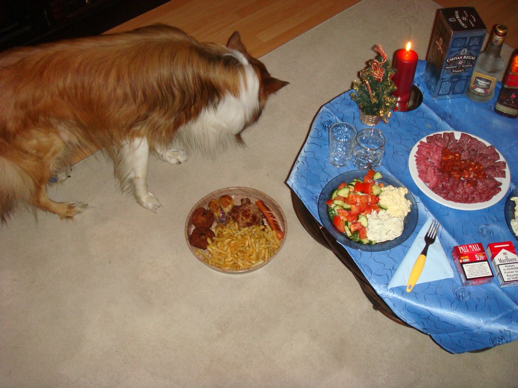 DSC00654.JPG