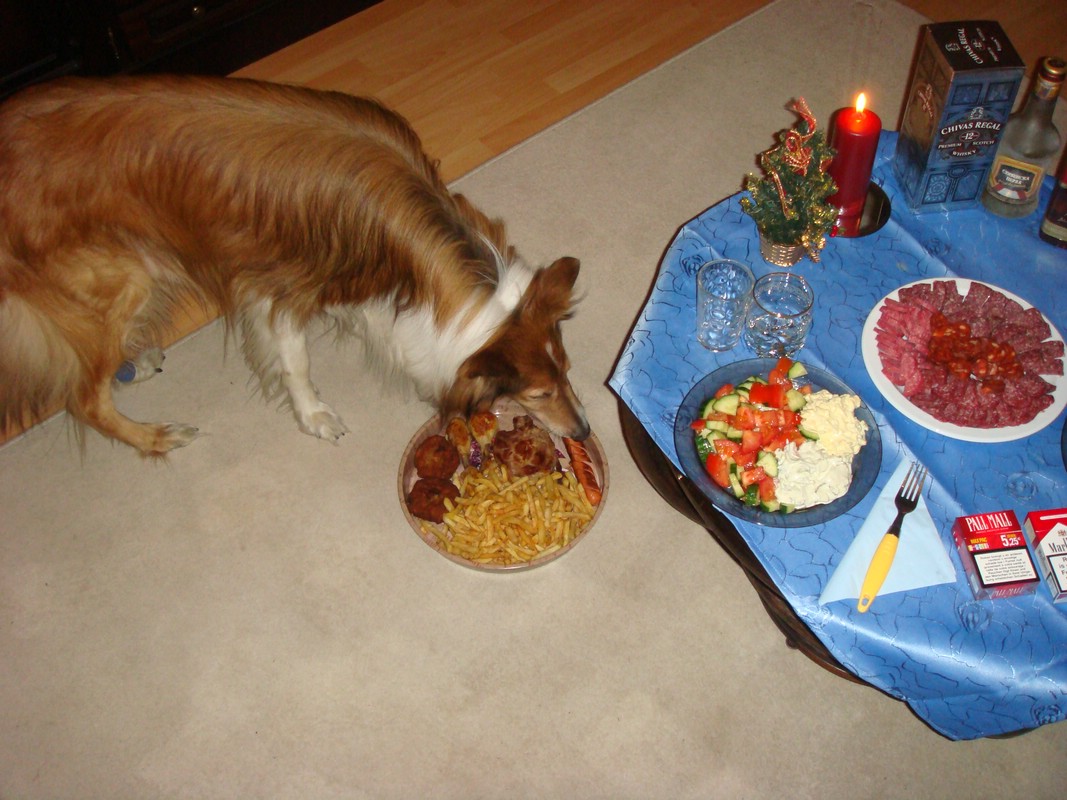 DSC00656.JPG