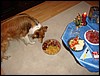 DSC00652.JPG
