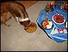 DSC00653.JPG