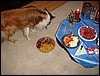 DSC00654.JPG